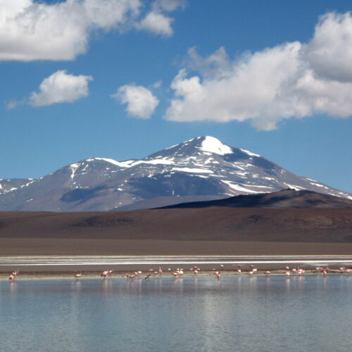 LAGUNA BRAVA y VALLES MILENARIOS