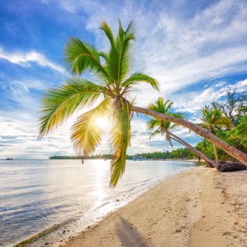 PUNTA CANA – PROMO NOVIEMBRE